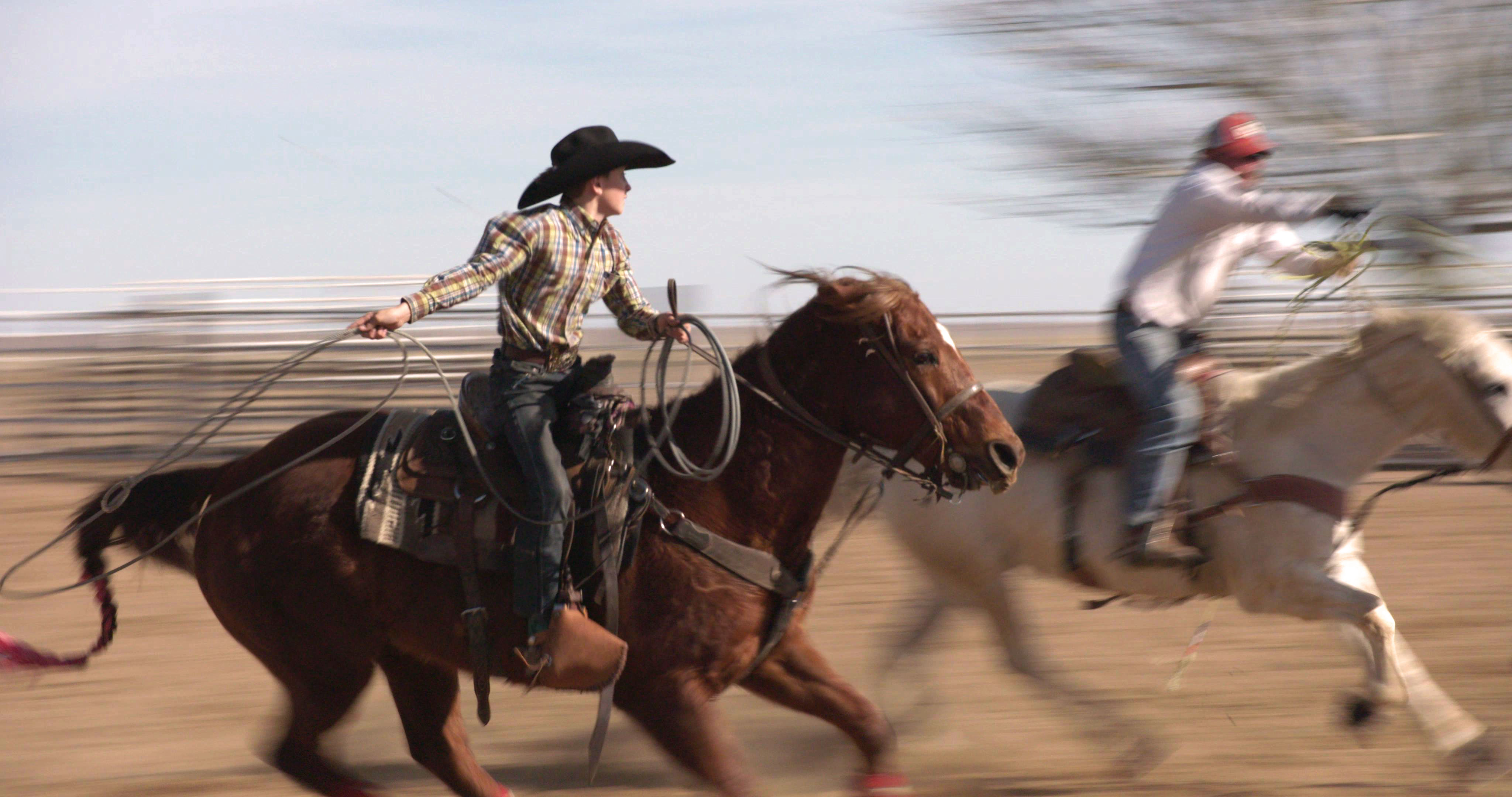 The Cowboy
